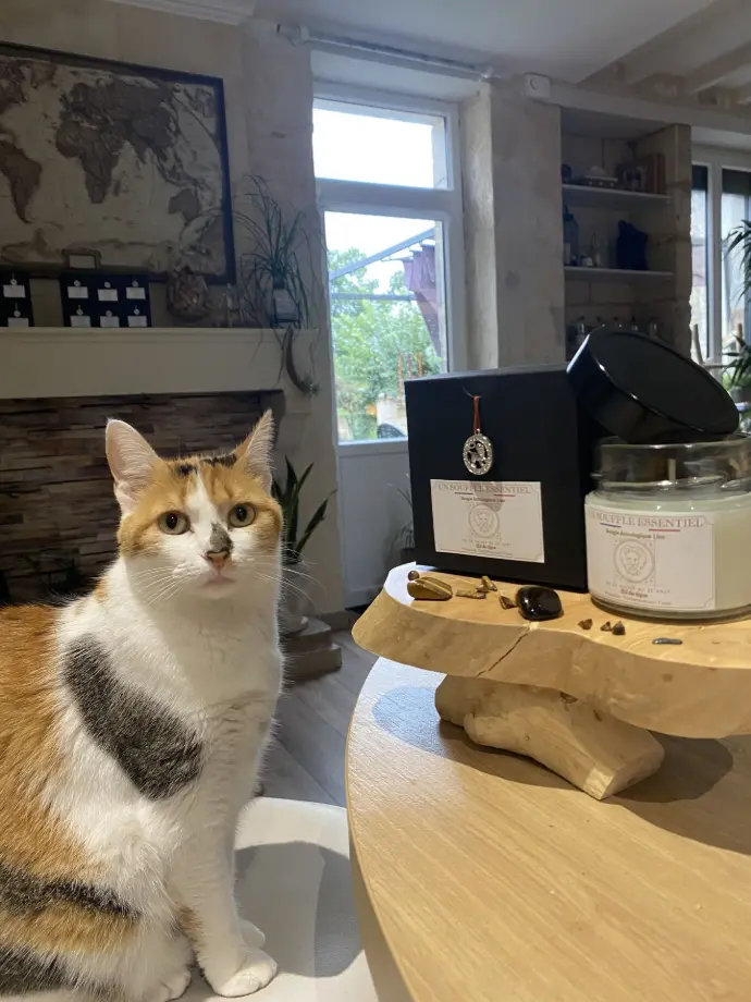 Coeurly, Directrice des travaux finis