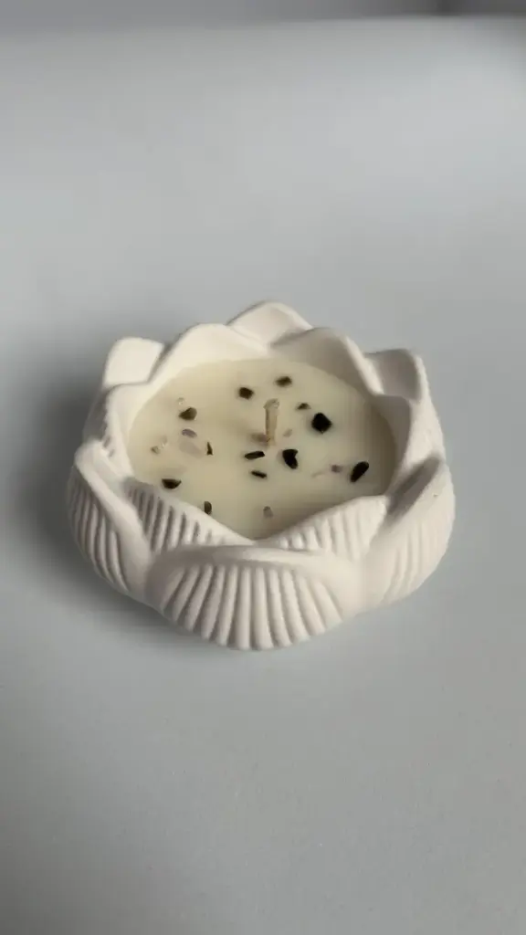 Fleur de Lotus Méditation