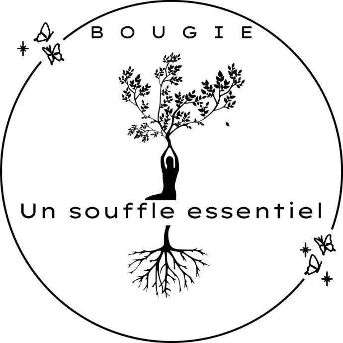 Poudre d'aspirateur parfumée Vanille