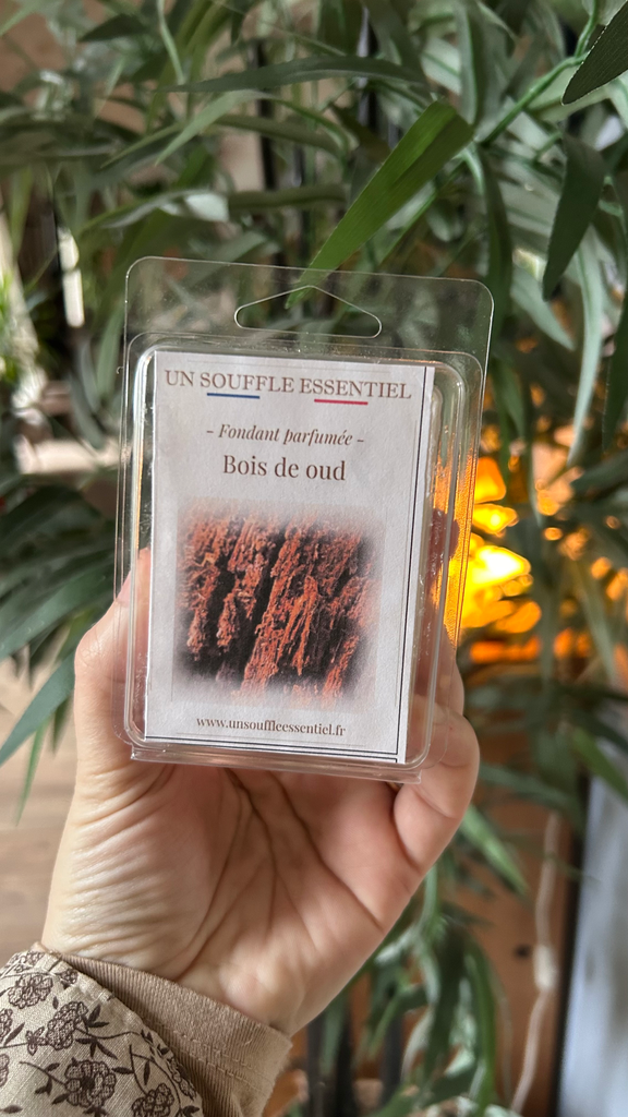 Fondant Bois de Oud