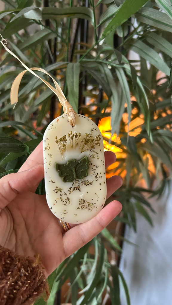 Suspension parfumée Aloé vera